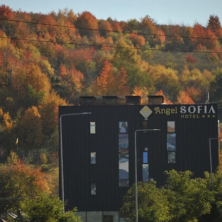 Hotel Angel Sofia Fălticeni Exterior foto