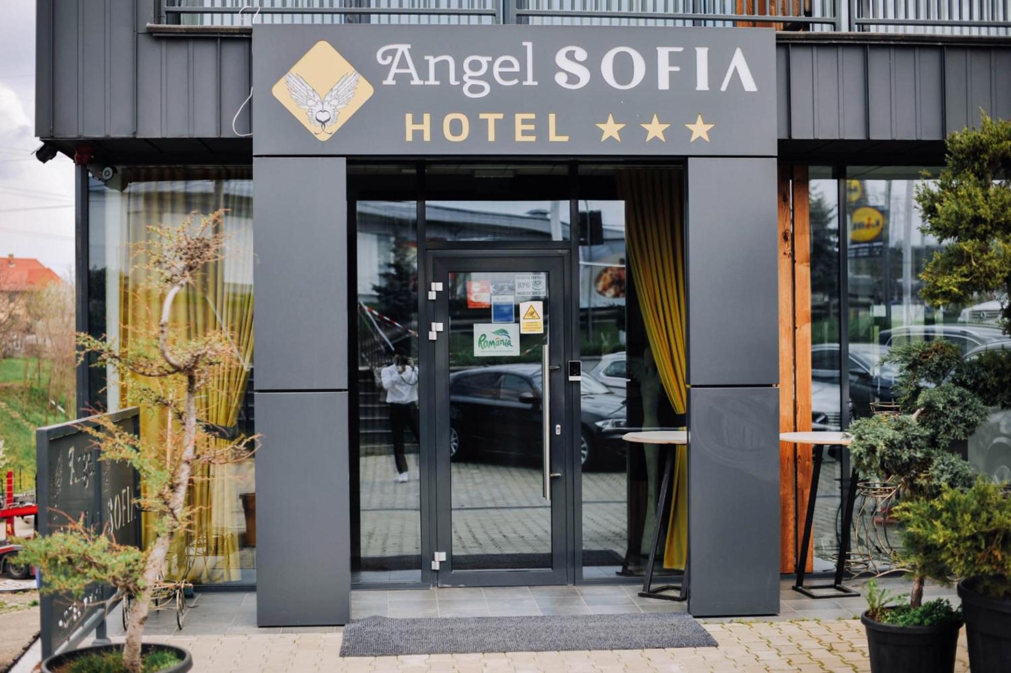 Hotel Angel Sofia Fălticeni Exterior foto